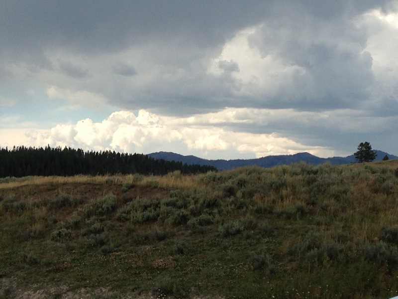photo.JPG