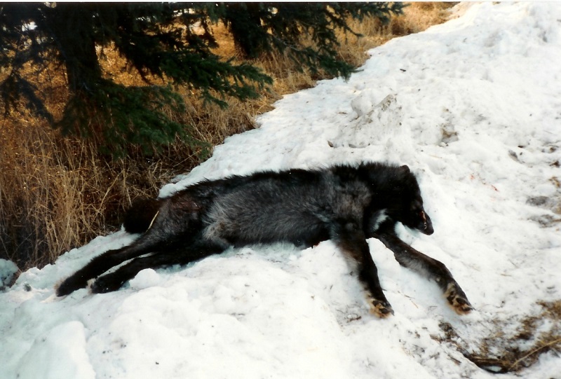 scan0001.jpg