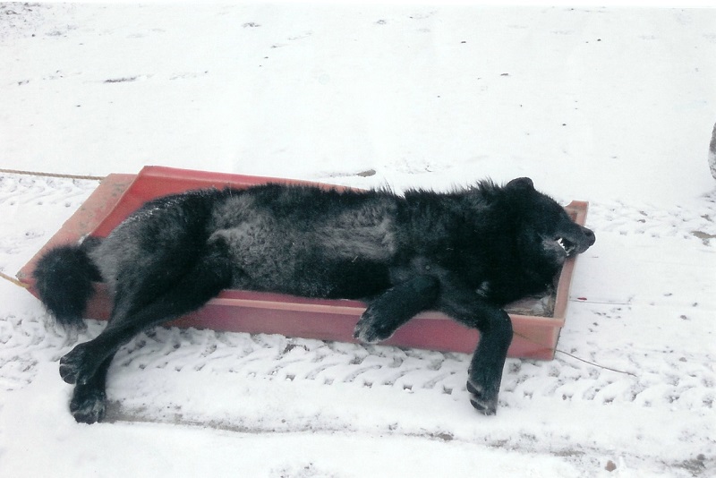 scan0003.jpg