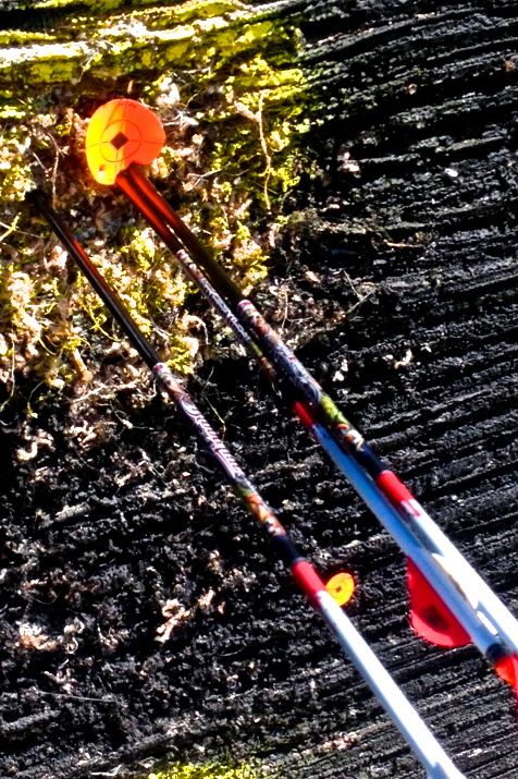 securedownload.jpg