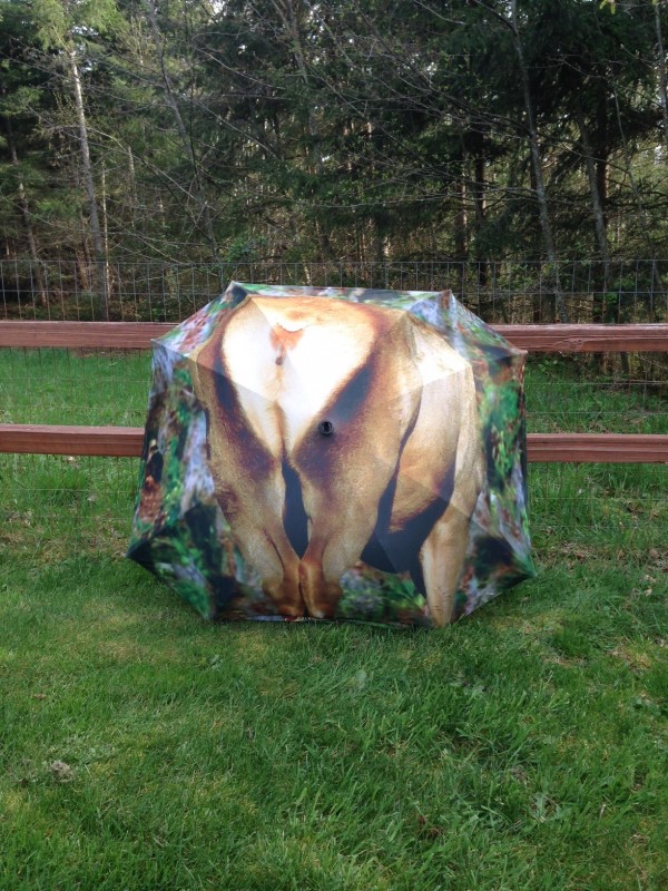 EMG Cow Butt 1.JPG