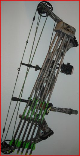 Bow.JPG