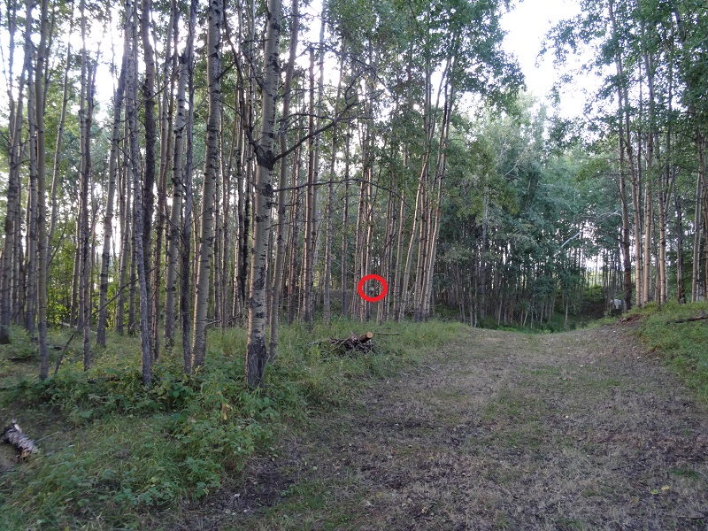 DSC00127.jpg