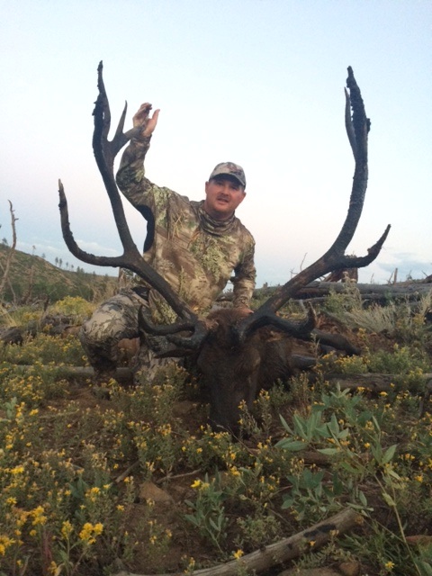 elk3.jpg