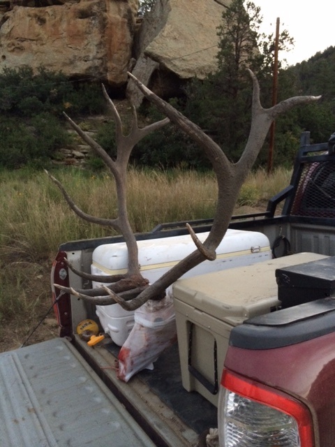 elk4.jpg