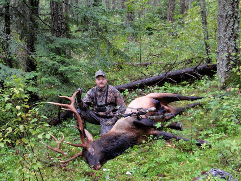 2010 Bull - solo 4 ElkNut.jpg