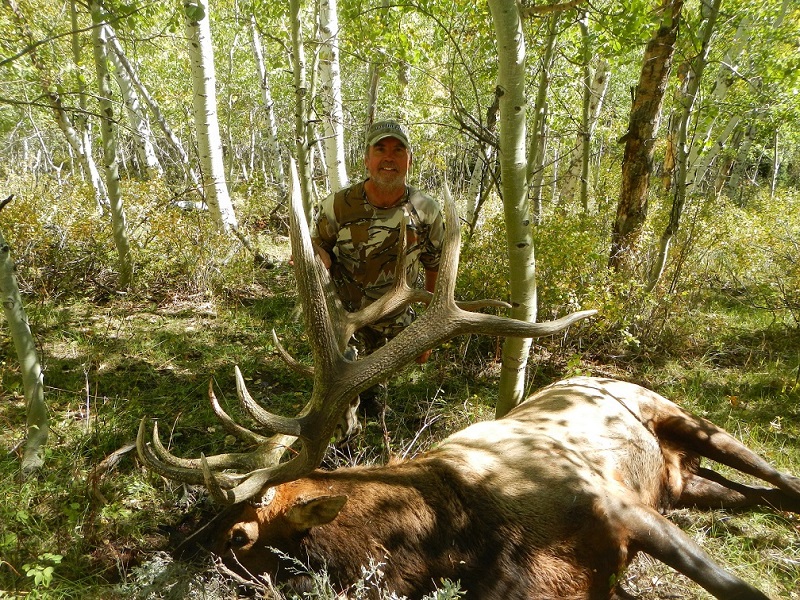 Scott Elk3.jpg