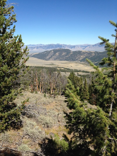 photo.JPG