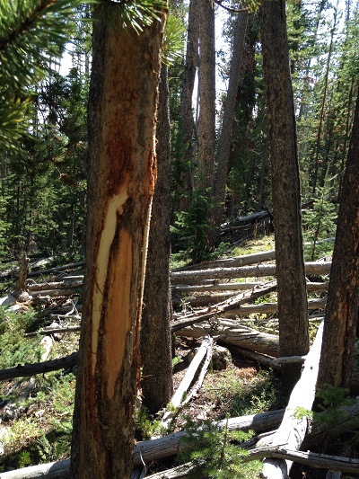 photo.JPG