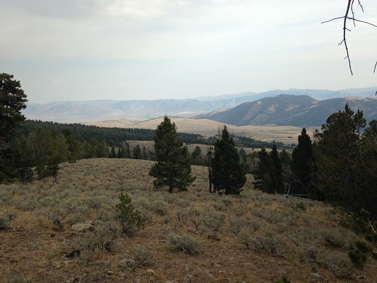 photo.JPG