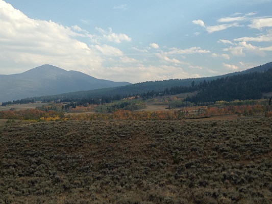 photo.JPG