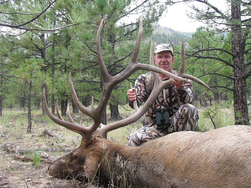 elk3.JPG
