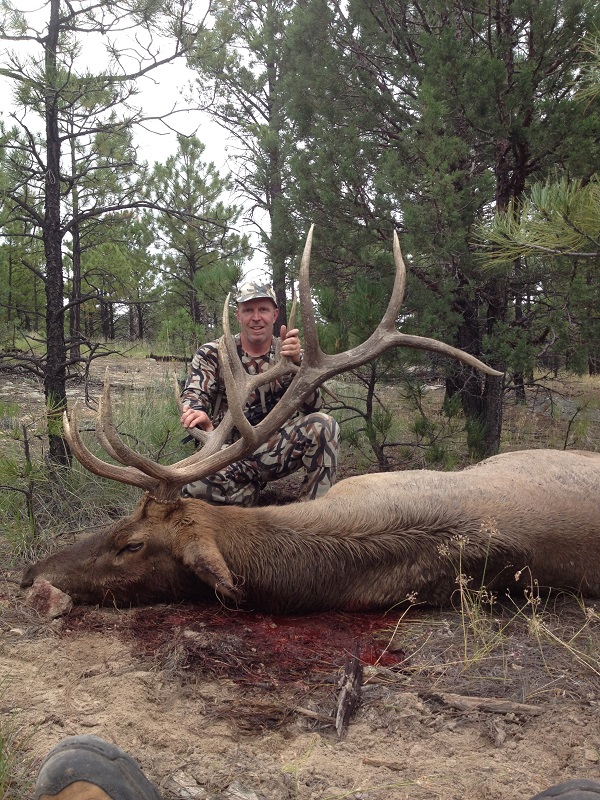 elk6.jpg