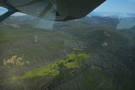 Montana Reduced Elk Nut 2.jpg