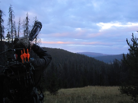 Montana Reduced Elk Nut 3.jpg