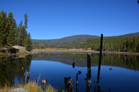 Montana Reduced Elk Nut 7.jpg