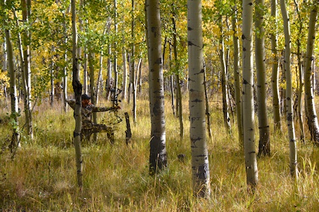 Montana Reduced Elk Nut 9.jpg