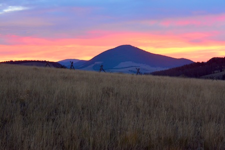 Montana Reduced Elk Nut 12.jpg