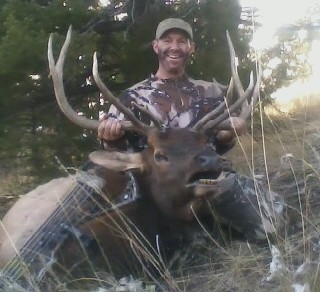 Bull Forward Better pose.jpg