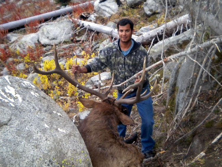 Color Paul II 2014 Bull-2.jpg