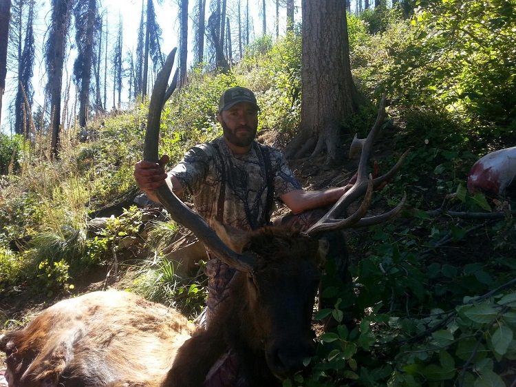 Clayton 2014 Bull Elk.jpg