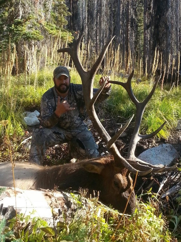 Taylor 2014 Bull Elk.jpg