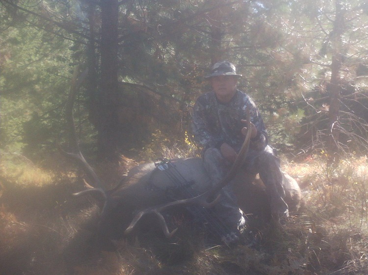 Jerry 2014 Bull Elk.jpg