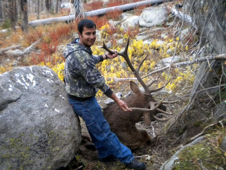 Color Paul II 2014 Bull-1.jpg