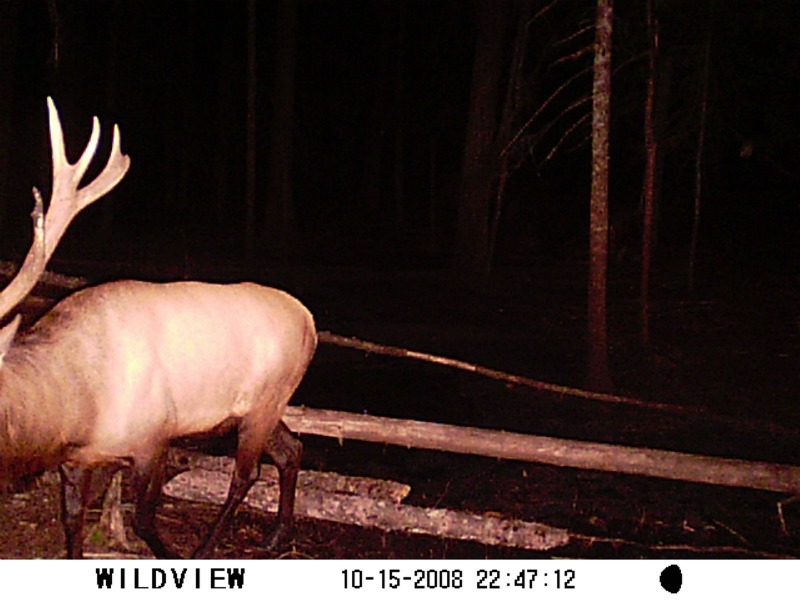 small 7point.jpg