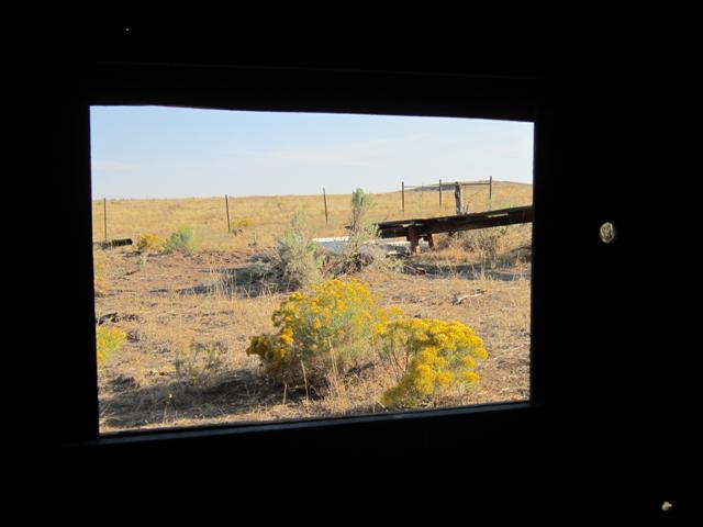 IMG_0698 (Small).JPG