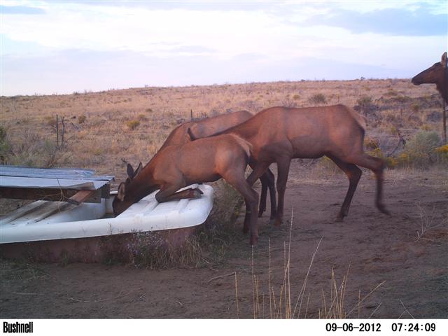 PICT0357 (Small).JPG