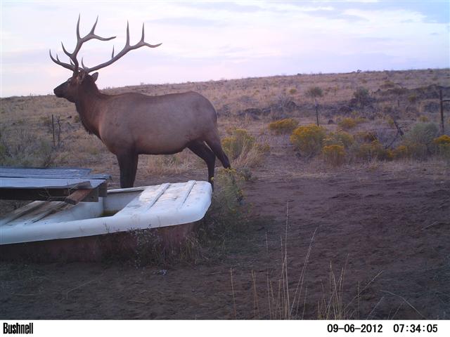 PICT0390 (Small).JPG