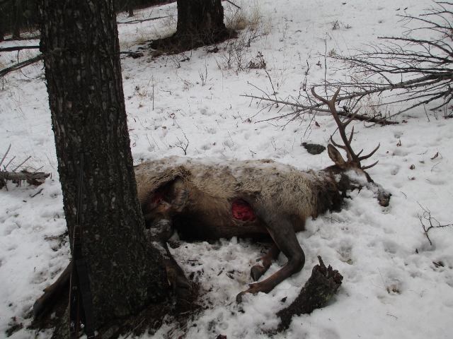 IMG_0636 (640x480).jpg