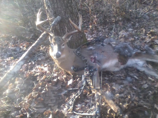 2014 9pt..jpg
