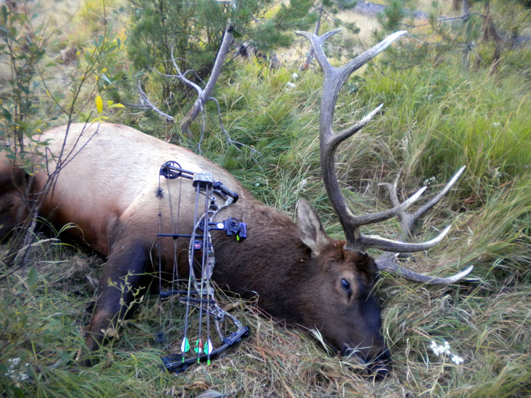 DSCN1898.jpg