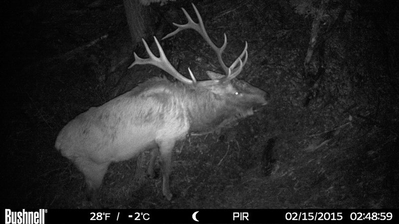 rsz_hunt0203_2.jpg