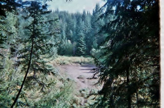 Dry Wallow.jpg