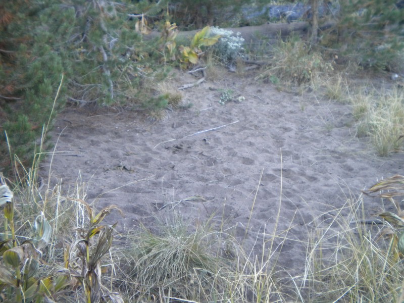 DSCN1894.JPG