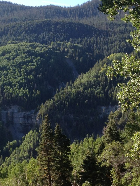 ImageUploadedByTapatalk1347288256.607401.jpg