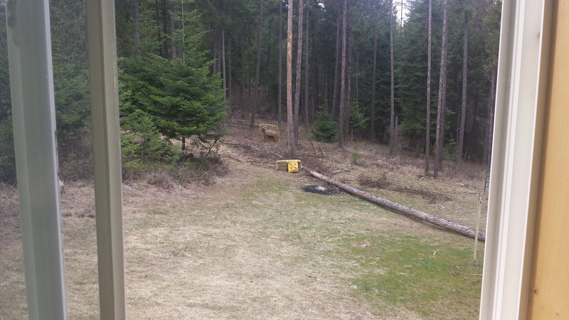 rsz_20150323_165045.jpg
