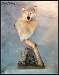 wolfmount.png