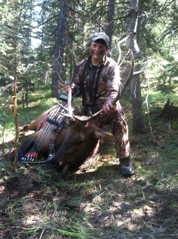 Bull 2.jpg