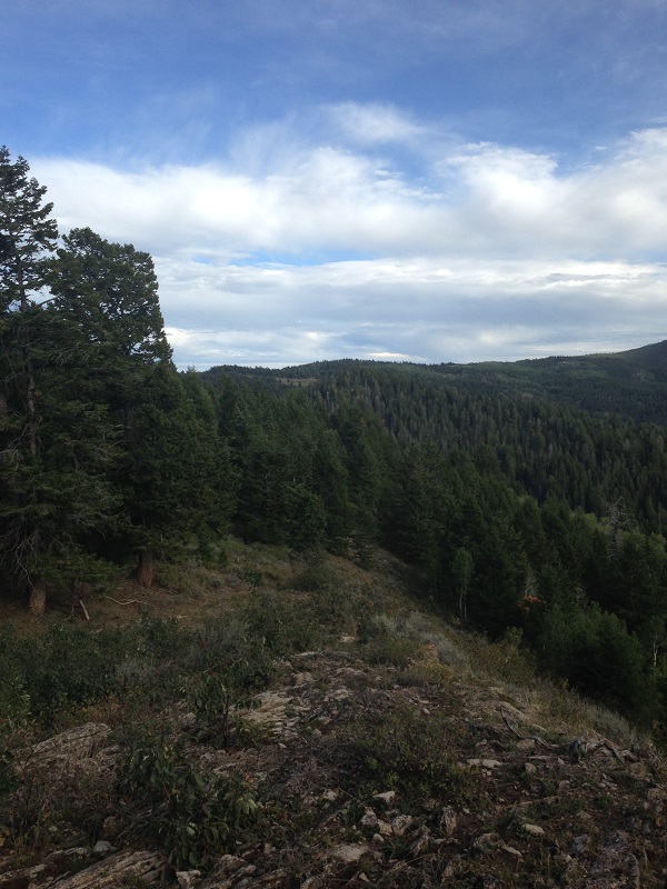 Mountain Range 2.jpg