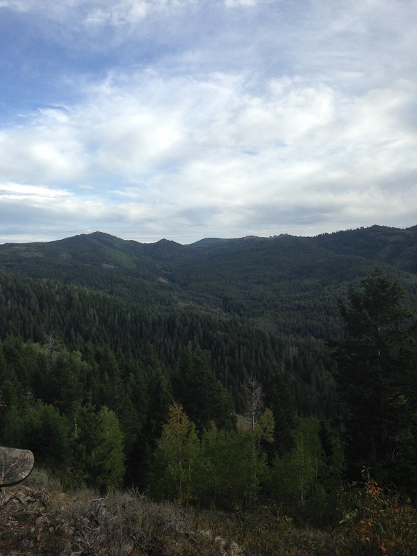 Mountain Range 3.jpg