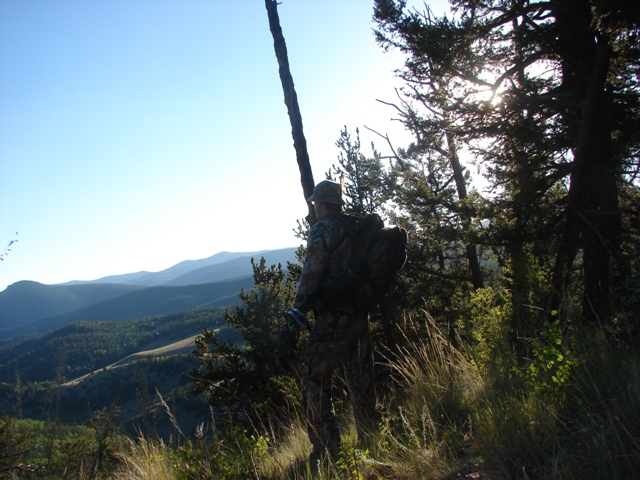 same plane.wclaspell.7-29-11.JPG