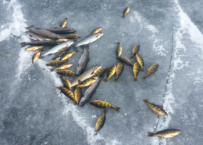 20150110.jpg