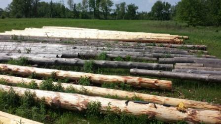 log work.jpg
