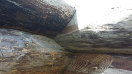 log corner.jpg