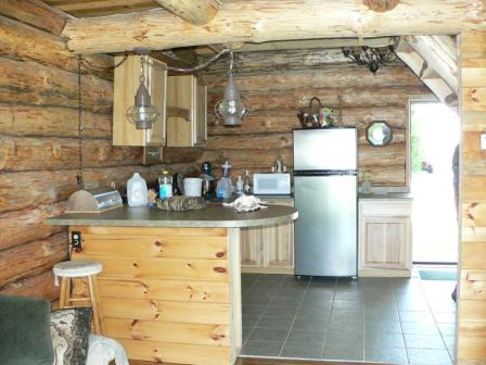 kitchen log cabin.jpg