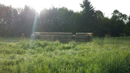 new cabin4.jpg